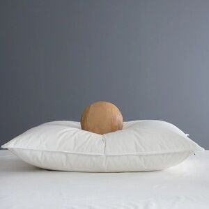 QUINCE Premium Down Alternative Pillow Standard 6180